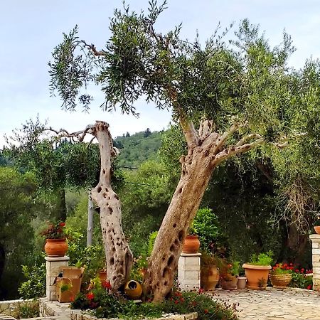 Villa RAXI Fountana Esterno foto