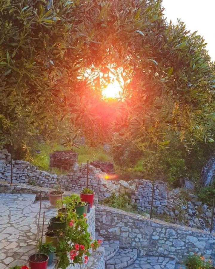 Villa RAXI Fountana Esterno foto